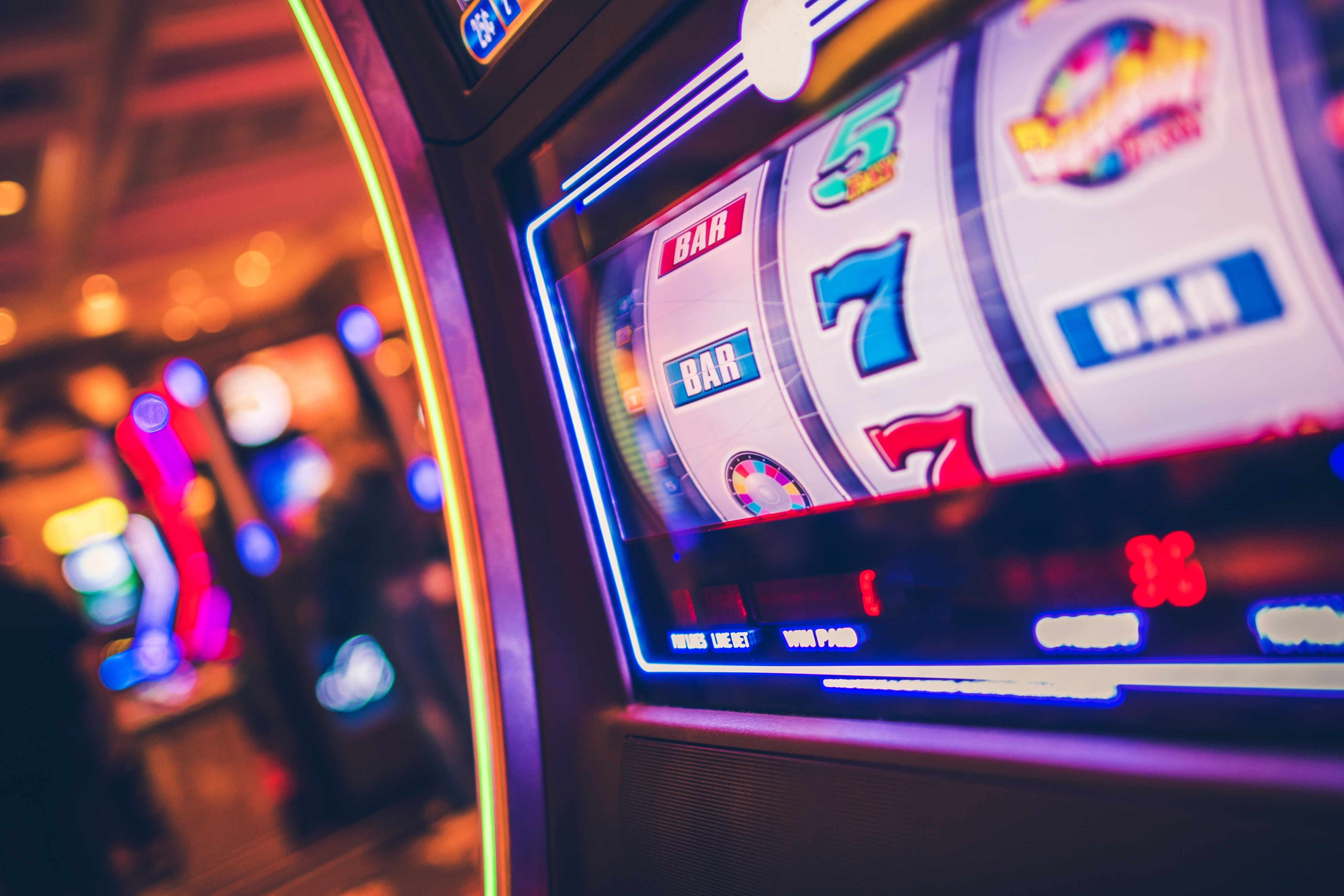 bandarjaya toto Bingo